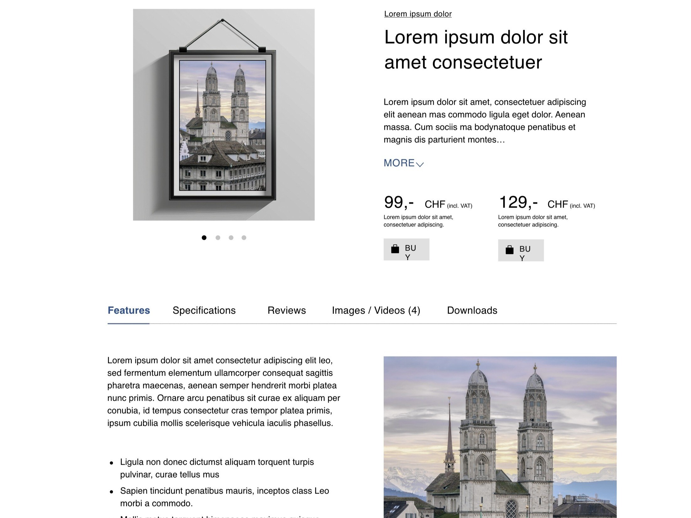 Organize product details with tabs for better user navigation.